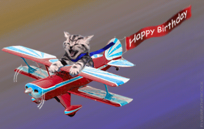Cat Pilot Happy Birthday