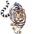 Walking Tiger