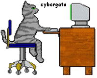 cybergata