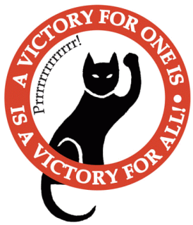 victory cat