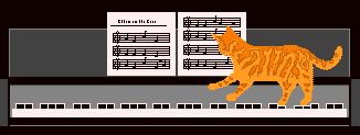 Piano Playing Cat