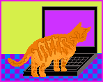 Computer Cat E-Mail