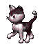 3d Cat
