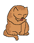 Eminyan's Cats
