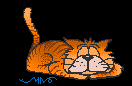 Sleepy Gato