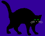 Ozzy Cat