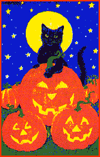 Pumpkin Cat